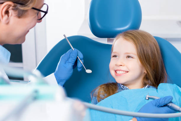 Professional Dental Services in Safety Harbor, FL